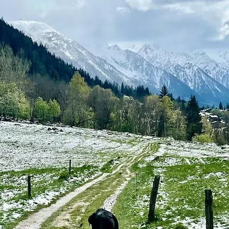 Large Peaceful For Mountain Adventures! Perfect For Flégère&grand Montet Skiing