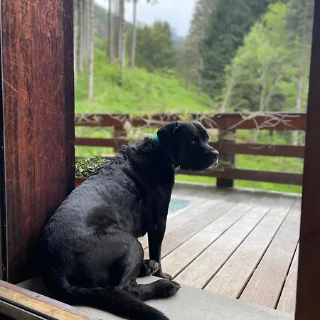 Large Peaceful For Mountain Adventures! Perfect For Flegere And Grand Montet Skiing * Chamonix