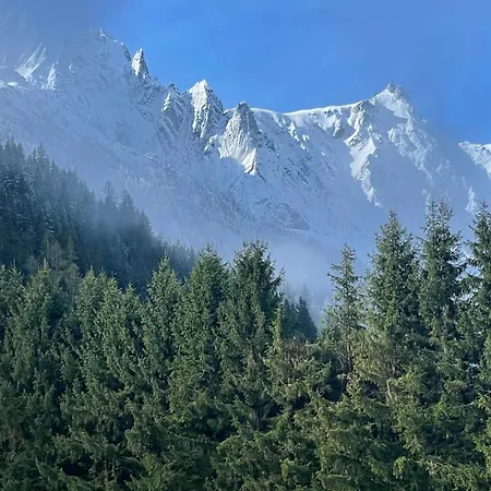 Large Peaceful For Mountain Adventures! Perfect For Flégère&grand Montet Skiing