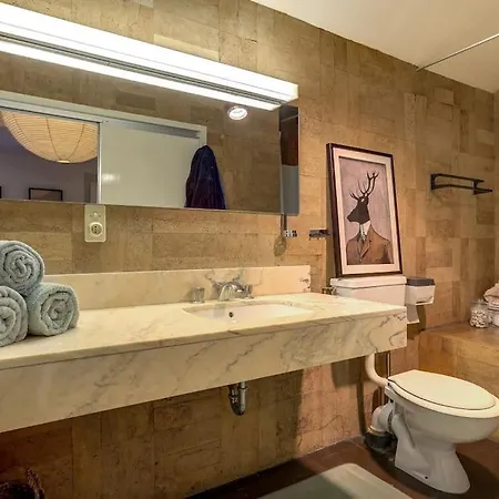 Large Peaceful For Mountain Adventures! Perfect For Flegere And Grand Montet Skiing Chalet