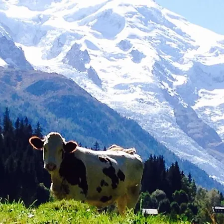 Domek alpejski Large Peaceful For Mountain Adventures! Perfect For Flegere And Grand Montet Skiing Chamonix