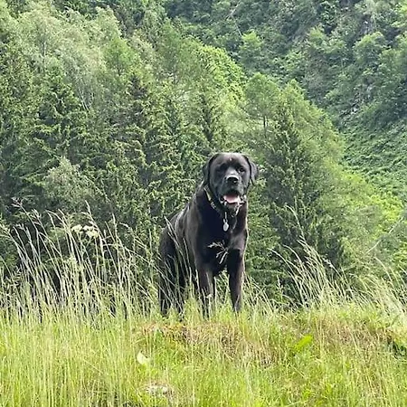 Large Peaceful For Mountain Adventures! Perfect For Flegere And Grand Montet Skiing Domek alpejski Chamonix