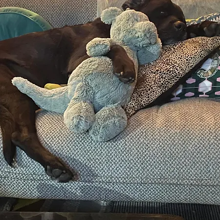 Domek alpejski Large Peaceful For Mountain Adventures! Perfect For Flegere And Grand Montet Skiing *