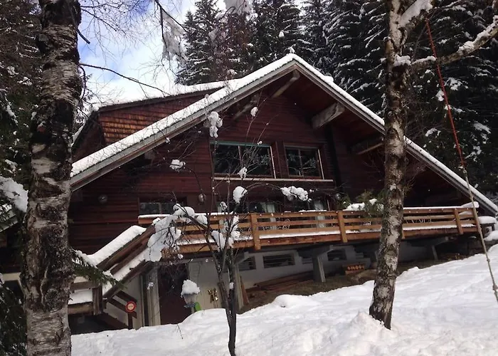 Large Peaceful For Mountain Adventures! Perfect For Flegere And Grand Montet Skiing
