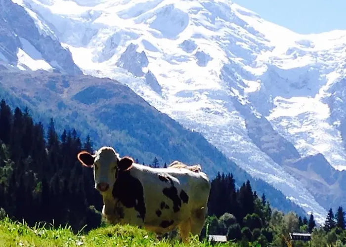 Chalet Large Peaceful For Mountain Adventures! Perfect For Flegere And Grand Montet Skiing Chamonix