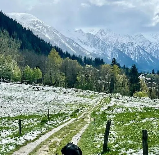 Large Peaceful For Mountain Adventures! Perfect For Flegere And Grand Montet Skiing