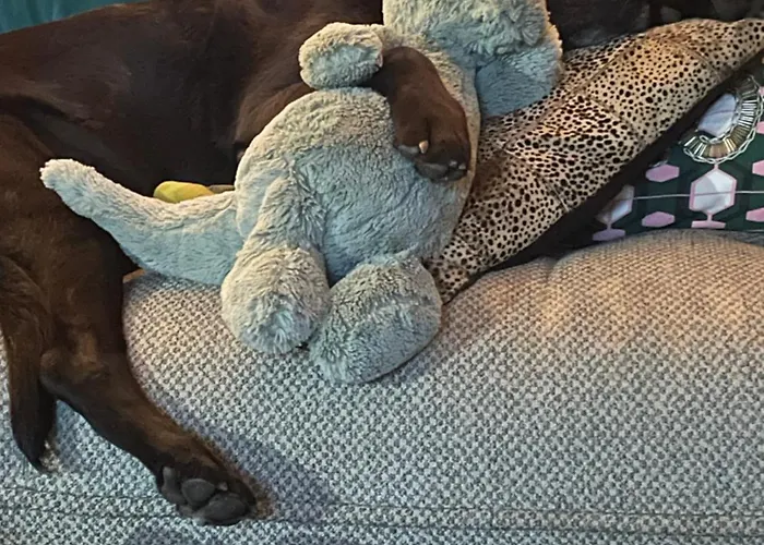 Chalet Large Peaceful For Mountain Adventures! Perfect For Flegere And Grand Montet Skiing *