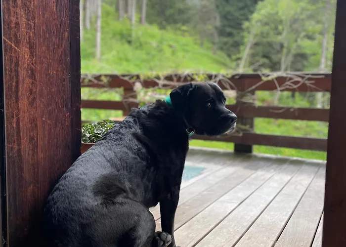 Large Peaceful For Mountain Adventures! Perfect For Flegere And Grand Montet Skiing * Chamonix