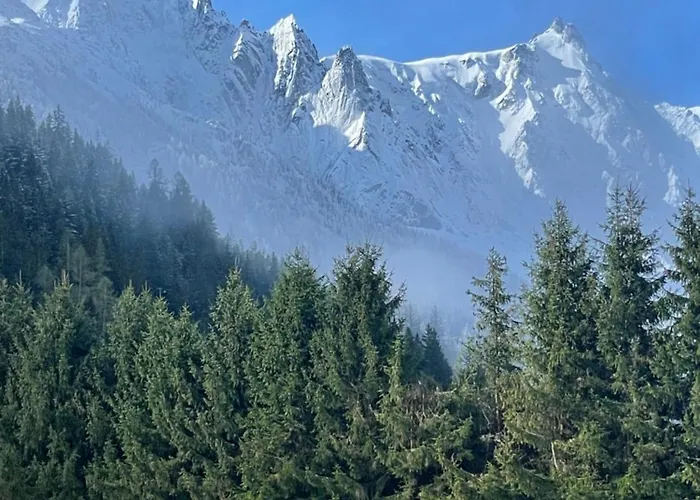 Large Peaceful For Mountain Adventures! Perfect For Flegere And Grand Montet Skiing